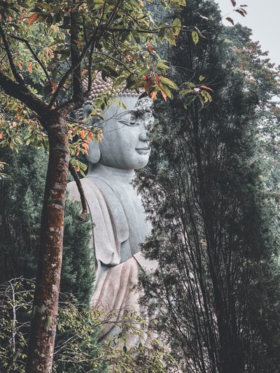 天使雕像在树枝上
